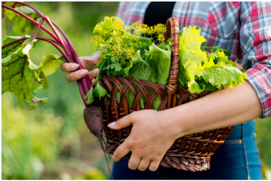  Horticulture Vs Agriculture 