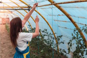 High Tunnel Hoop House 